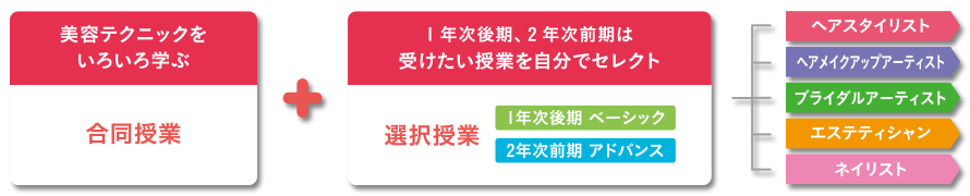 カリキュラム | 東京の美容学校で美容師のプロを目指す｜マリールイズ美容専門学校