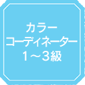 カラーコーディネーター